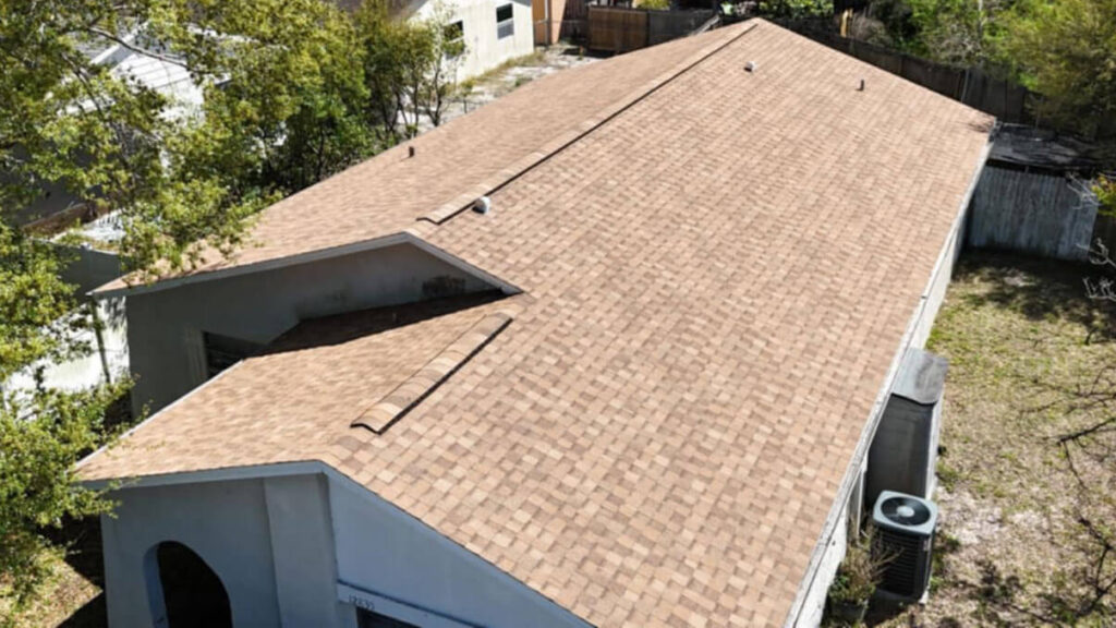 shingle roof services